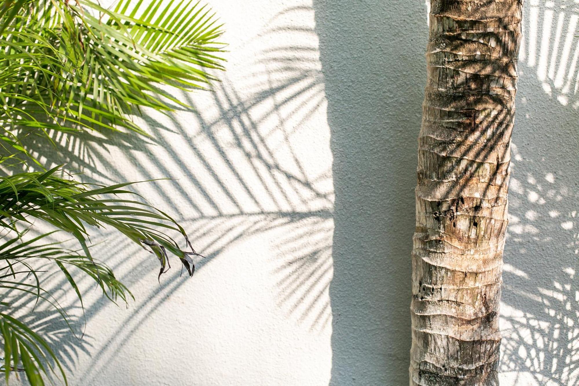 Coco & Pineapple Pants Hostel Canggu  Exterior photo